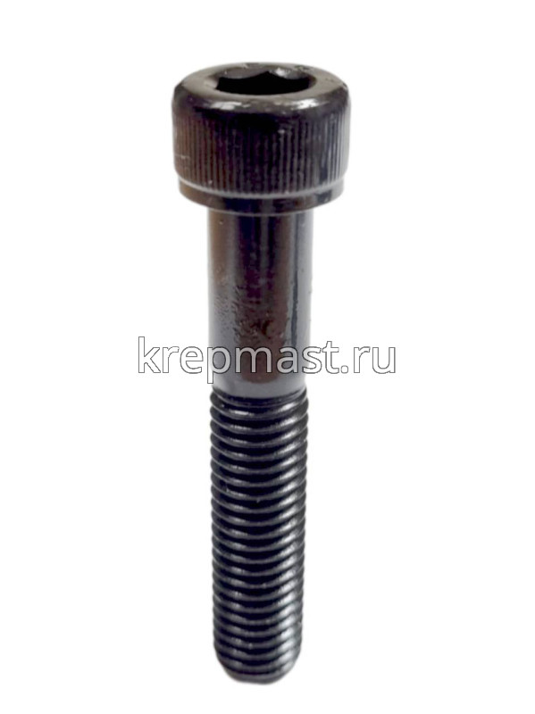 Винт с внутр.шестигранником 10 х 55 черный кл.пр.12,9 н/р DIN 912