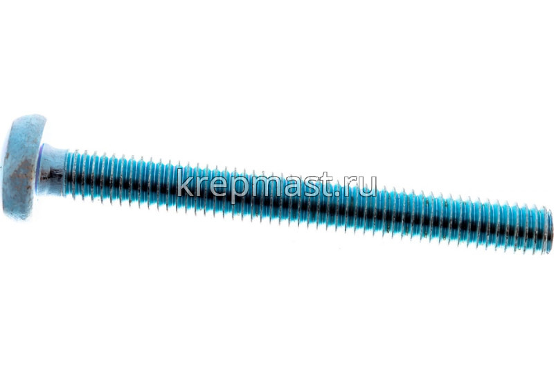 Винт п/цил 6,0х55 DIN 7985