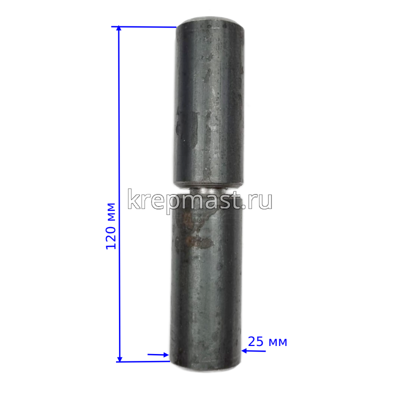 Петля г а р а ж н а я ПГ 25 х 120