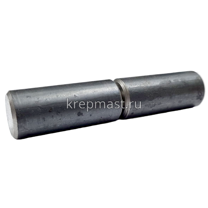 Петля г а р а ж н а я ПГ 25 х 120