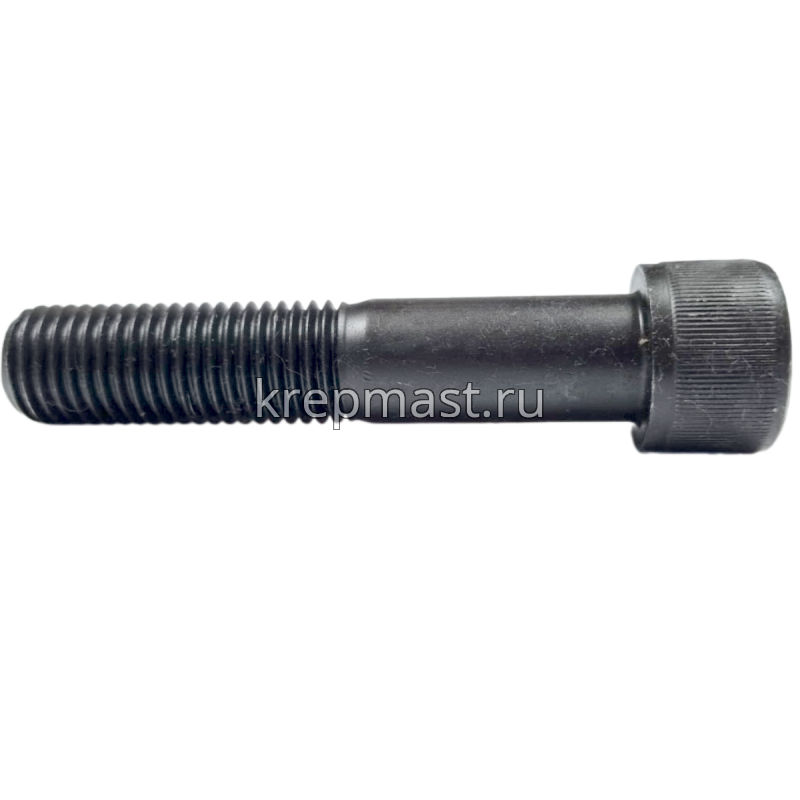 Винт с внутр.шестигранником 20 х100 черный кл.пр.12.9 н/р DIN 912